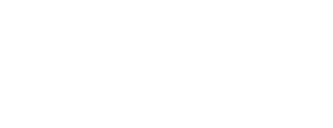 logo IUT Lyon 1